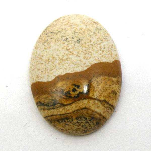 sN`[WXp[ipicture jasper)I[oJ{V