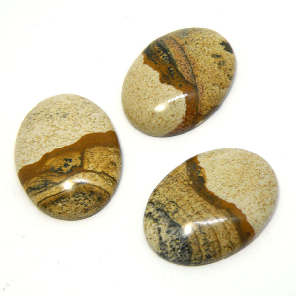 sN`[WXp[ipicture jasper)I[oJ{V