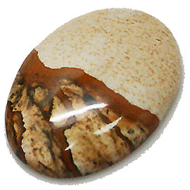 sN`[WXp[ipicture jasper)I[oJ{V