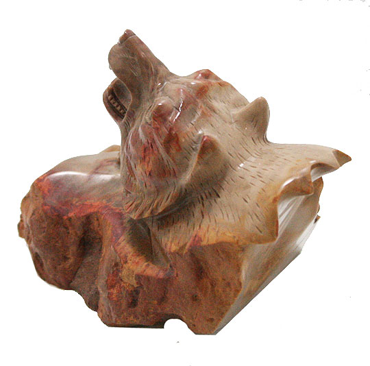 珪化木ペトリファイド(Petrified Wood)