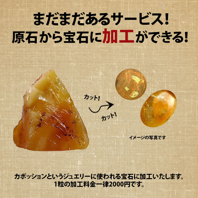 -STONE COUNSULTING-Xg[RTeBO@̐l߂II VR΃K`K`