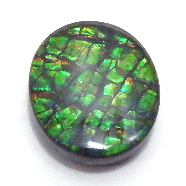 ACg(Ammolite) VR΃[Xi