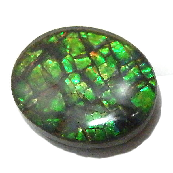 ACg(Ammolite) VR΃[Xi