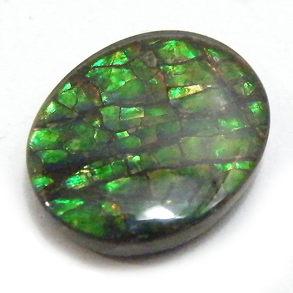 ACg(Ammolite) VR΃[Xi