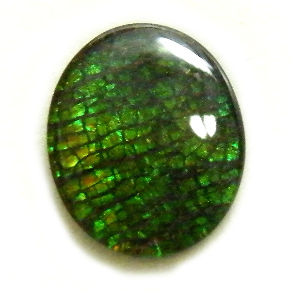 アンモライト(Ammolite) 天然石ルース限定品
