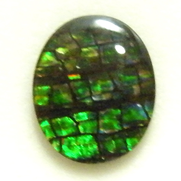 アンモライト(Ammolite) 天然石ルース限定品