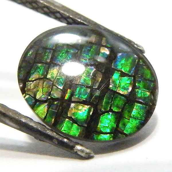 アンモライト(Ammolite) 天然石ルース限定品