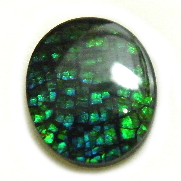 アンモライト(Ammolite) 天然石ルース限定品