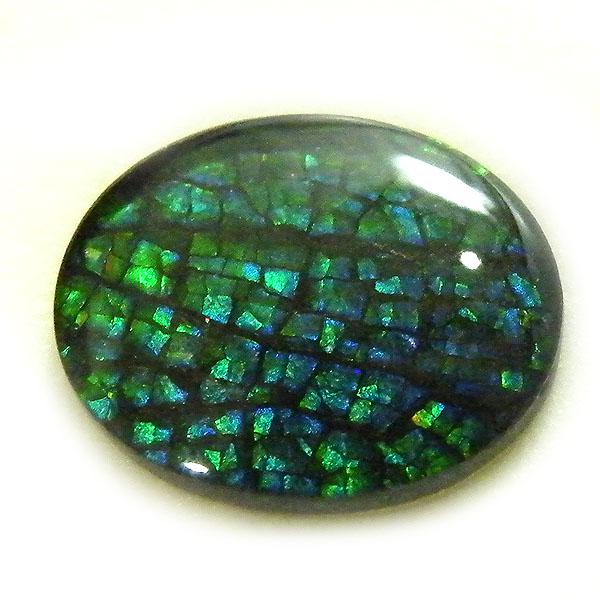 アンモライト(Ammolite) 天然石ルース限定品