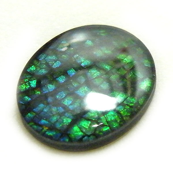 アンモライト(Ammolite) 天然石ルース限定品