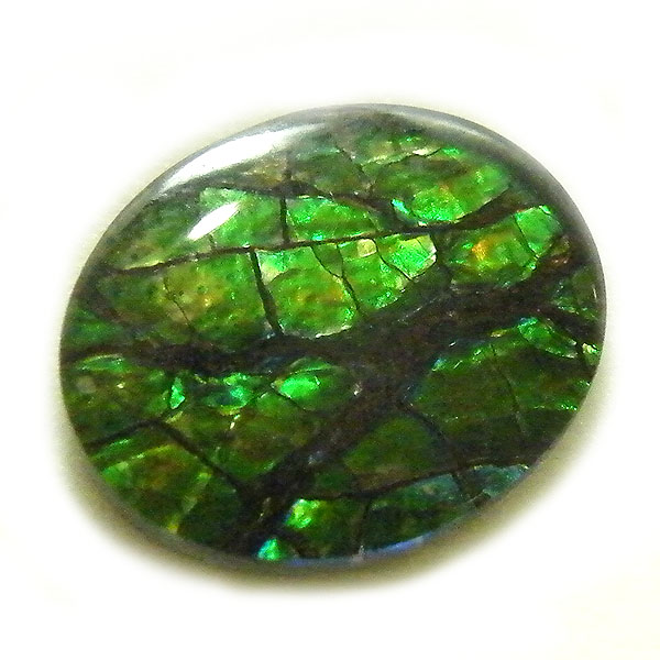 ACg(Ammolite) VR΃[Xi