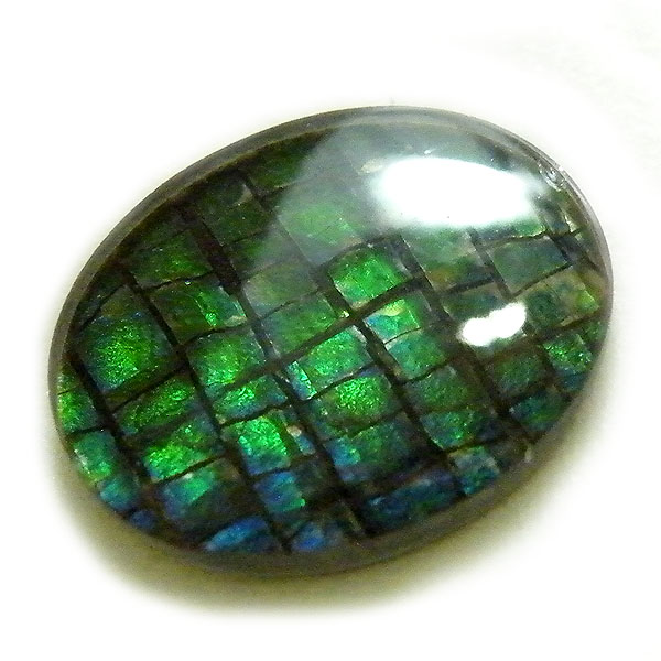 ACg(Ammolite) VR΃[Xi