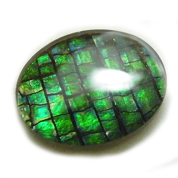 ACg(Ammolite) VR΃[Xi