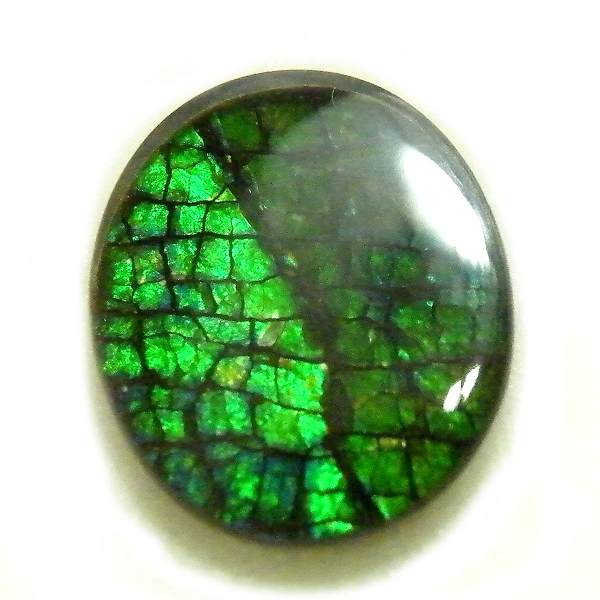 アンモライト(Ammolite) 天然石ルース限定品