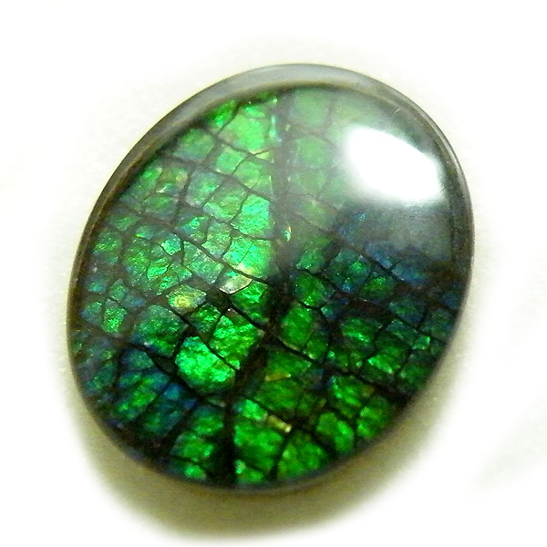 アンモライト(Ammolite) 天然石ルース限定品