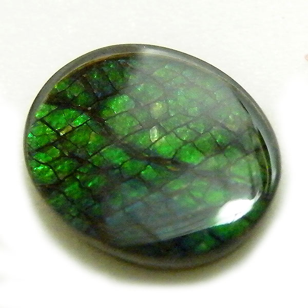アンモライト(Ammolite) 天然石ルース限定品