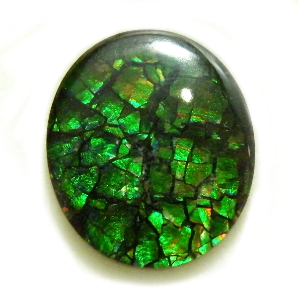 アンモライト(Ammolite) 天然石ルース限定品