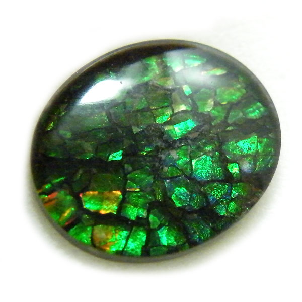アンモライト(Ammolite) 天然石ルース限定品