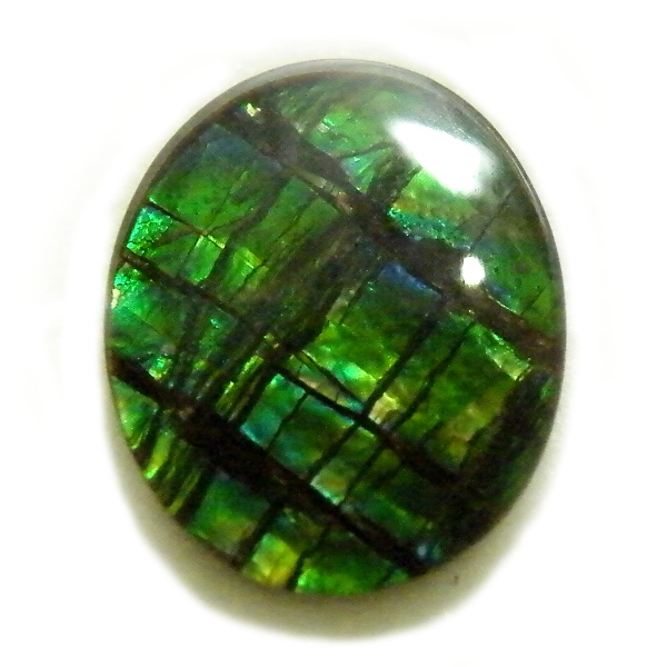 アンモライト(Ammolite) 天然石ルース限定品