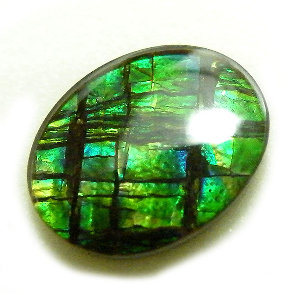 アンモライト(Ammolite) 天然石ルース限定品