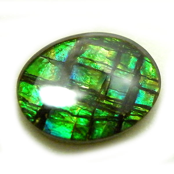 アンモライト(Ammolite) 天然石ルース限定品