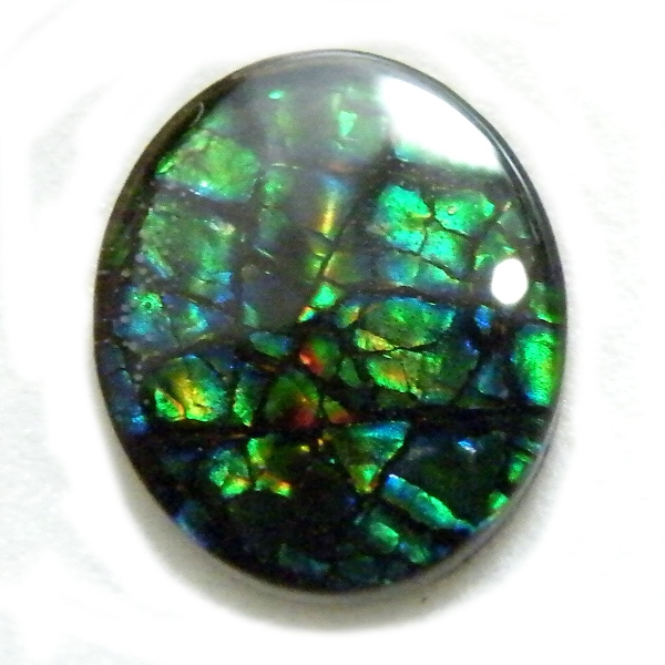 アンモライト(Ammolite) 天然石ルース限定品