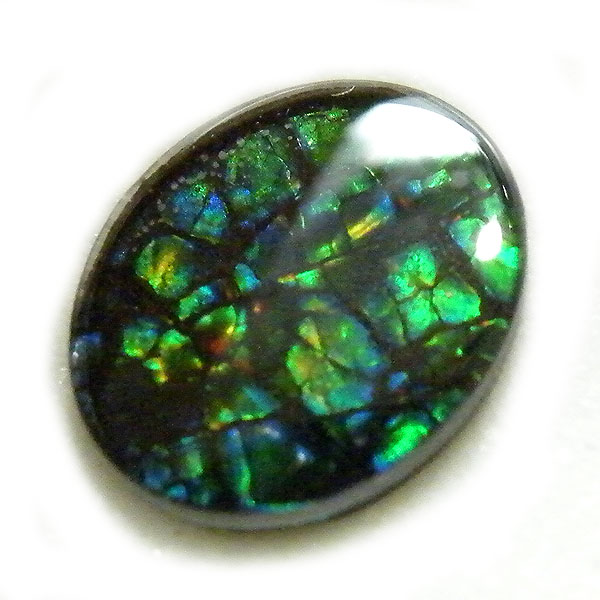 アンモライト(Ammolite) 天然石ルース限定品