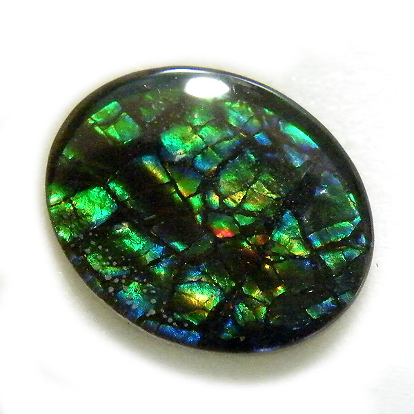 アンモライト(Ammolite) 天然石ルース限定品