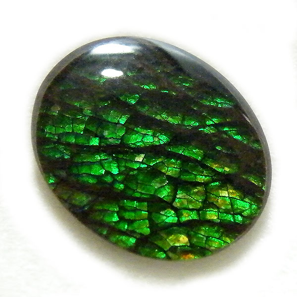 ACg(Ammolite) VR΃[Xi