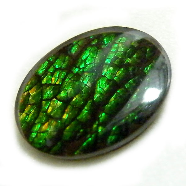 ACg(Ammolite) VR΃[Xi