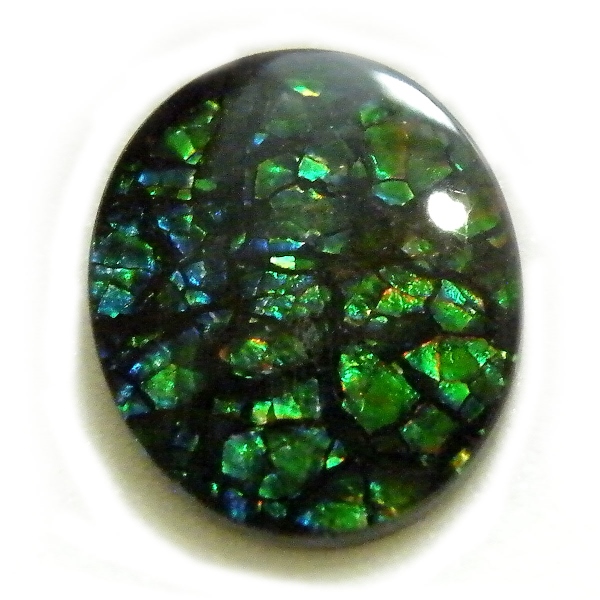 アンモライト(Ammolite) 天然石ルース限定品