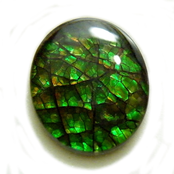 アンモライト(Ammolite) 天然石ルース限定品