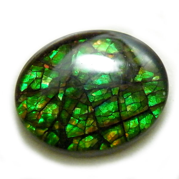 アンモライト(Ammolite) 天然石ルース限定品