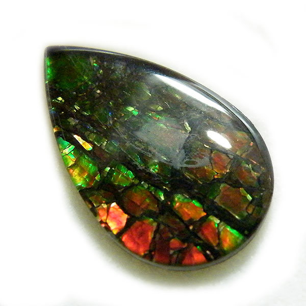 アンモライト(Ammolite) 天然石ルース限定品