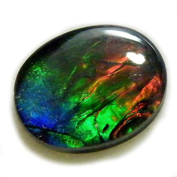 アンモライト(Ammolite) 天然石ルース限定品