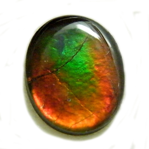 アンモライト(Ammolite) 天然石ルース限定品