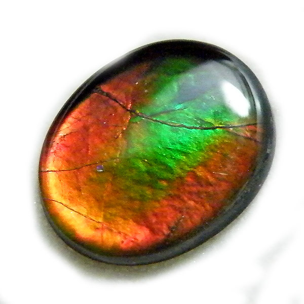 アンモライト(Ammolite) 天然石ルース限定品