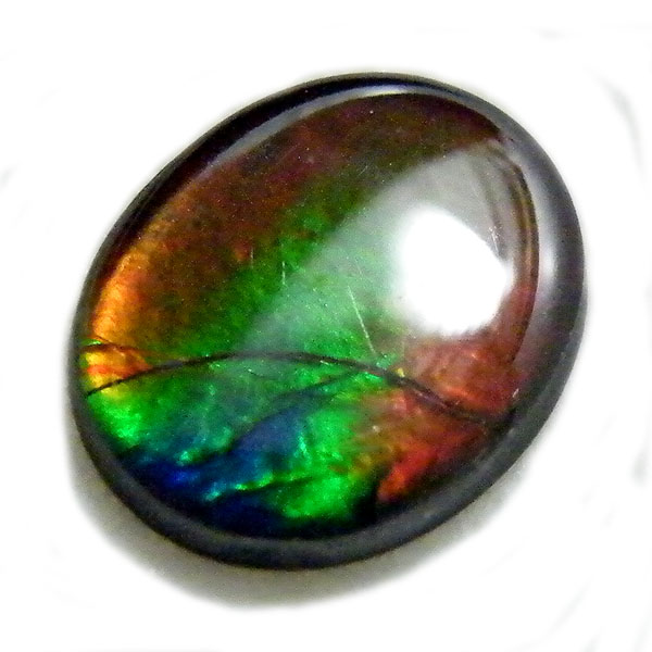 アンモライト(Ammolite) 天然石ルース限定品