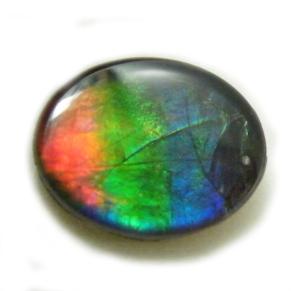 アンモライト(Ammolite) 天然石ルース限定品