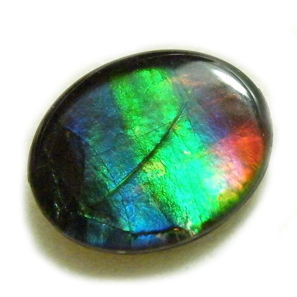 アンモライト(Ammolite) 天然石ルース限定品