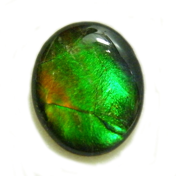アンモライト(Ammolite) 天然石ルース限定品