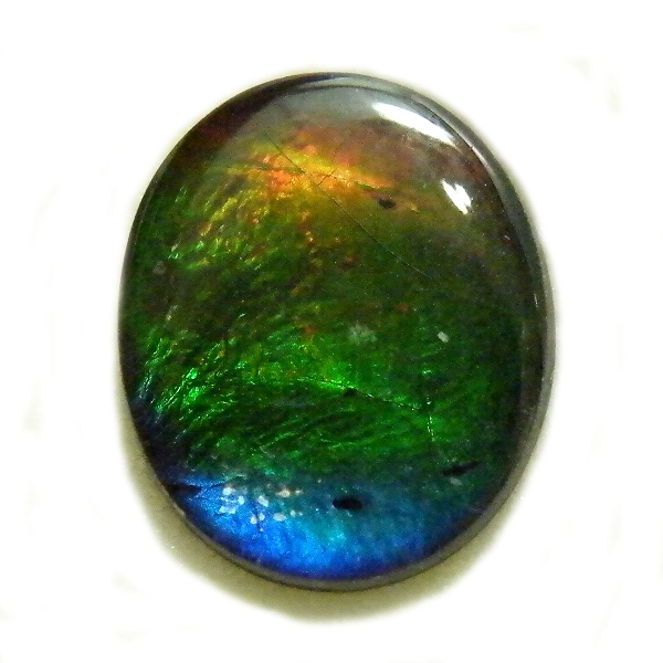 アンモライト(Ammolite) 天然石ルース限定品
