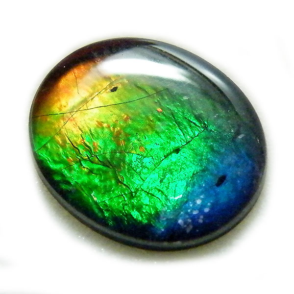 アンモライト(Ammolite) 天然石ルース限定品