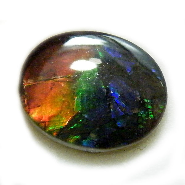 アンモライト(Ammolite) 天然石ルース限定品