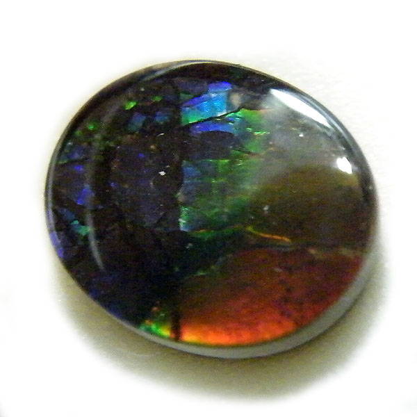 アンモライト(Ammolite) 天然石ルース限定品