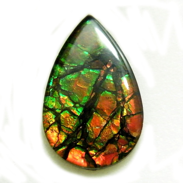 アンモライト(Ammolite) 天然石ルース限定品