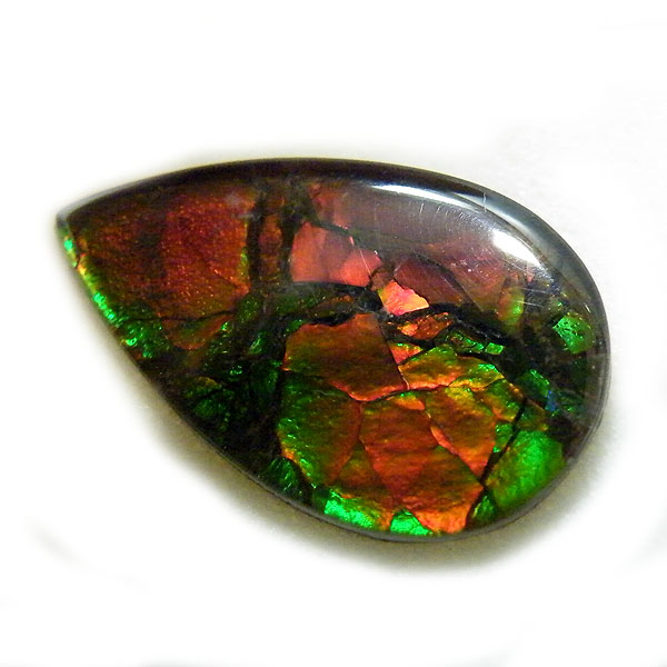 アンモライト(Ammolite) 天然石ルース限定品