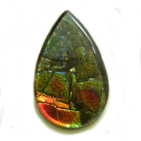 アンモライト(Ammolite) 天然石ルース限定品