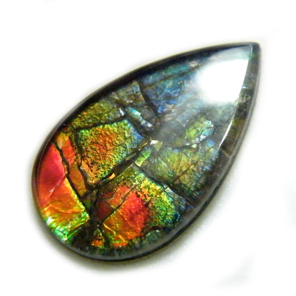 アンモライト(Ammolite) 天然石ルース限定品