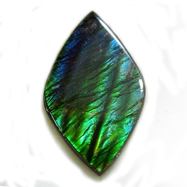 アンモライト(Ammolite) 天然石ルース限定品